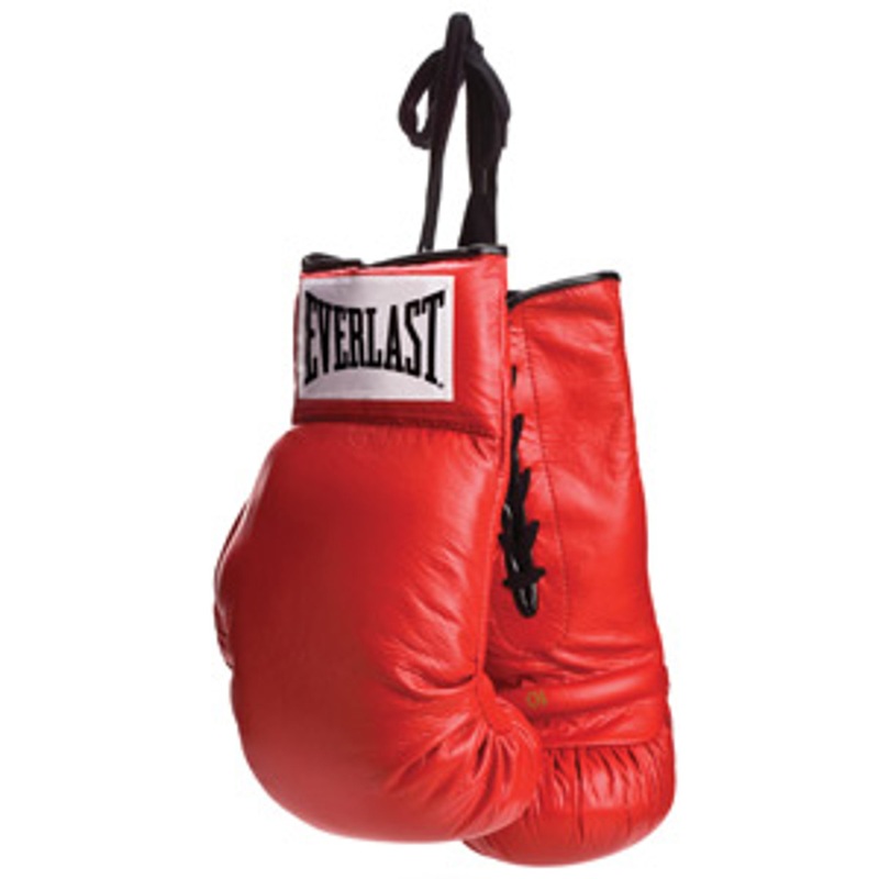 Everlast Autograph Vinyl Boxing Gloves – Lace