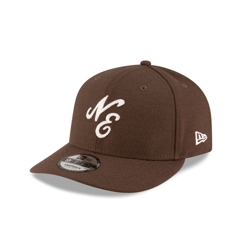 Classic Brown 9FIFTY Snapback Hat